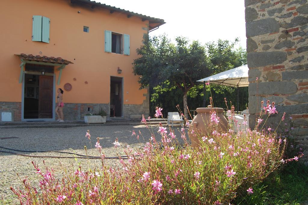 Fattoria Antognoni Villa Reggello Exterior foto